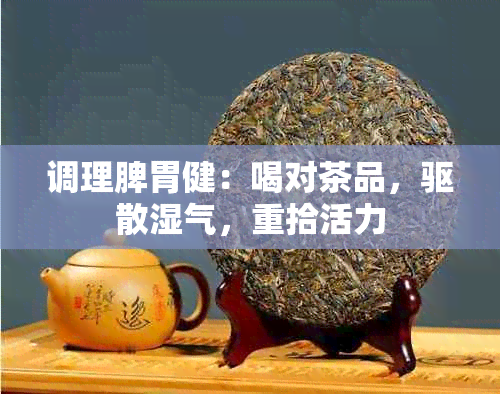 调理脾胃健：喝对茶品，驱散湿气，重拾活力