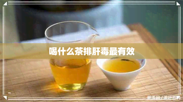 喝什么茶排肝最有效