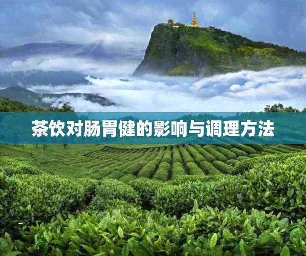 茶饮对肠胃健的影响与调理方法