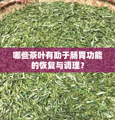 哪些茶叶有助于肠胃功能的恢复与调理？