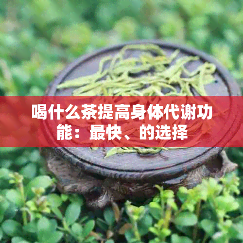 喝什么茶提高身体代谢功能：最快、的选择