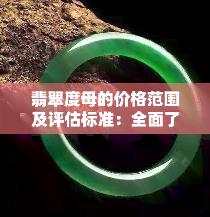 翡翠度母的价格范围及评估标准：全面了解如何选购和估价满底色翡翠度母