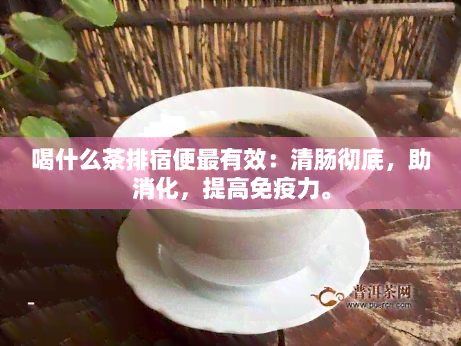 喝什么茶排宿便最有效：清肠彻底，助消化，提高免疫力。