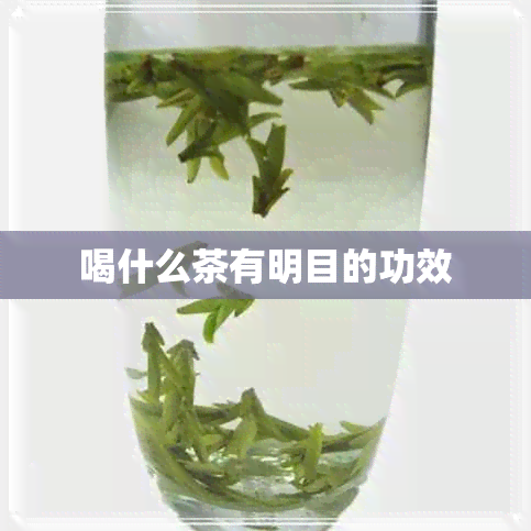 喝什么茶有明目的功效