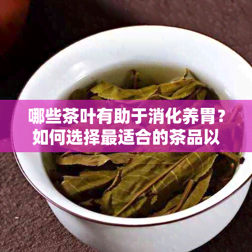 哪些茶叶有助于消化养胃？如何选择最适合的茶品以改善消化功能？