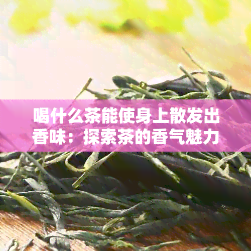 喝什么茶能使身上散发出香味：探索茶的香气魅力