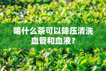 喝什么茶可以降压清洗血管和血液？