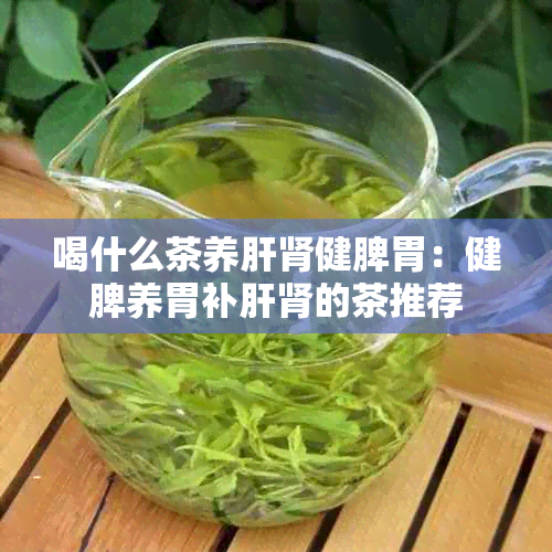 喝什么茶养肝肾健脾胃：健脾养胃补肝肾的茶推荐