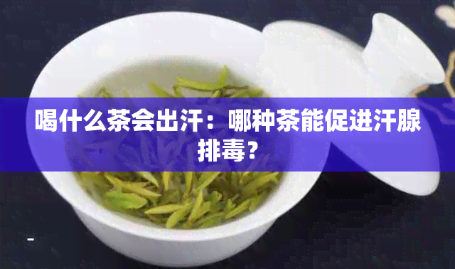 喝什么茶会出汗：哪种茶能促进汗腺排？