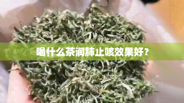 喝什么茶润肺止咳效果好？