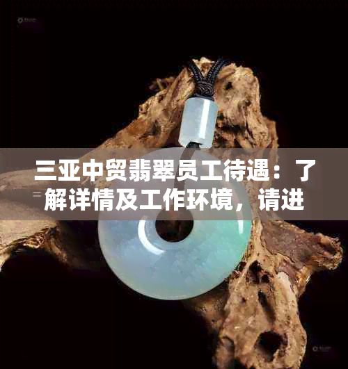 三亚中贸翡翠员工待遇：了解详情及工作环境，请进！