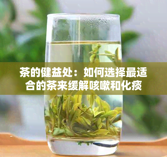 茶的健益处：如何选择最适合的茶来缓解咳嗽和化痰