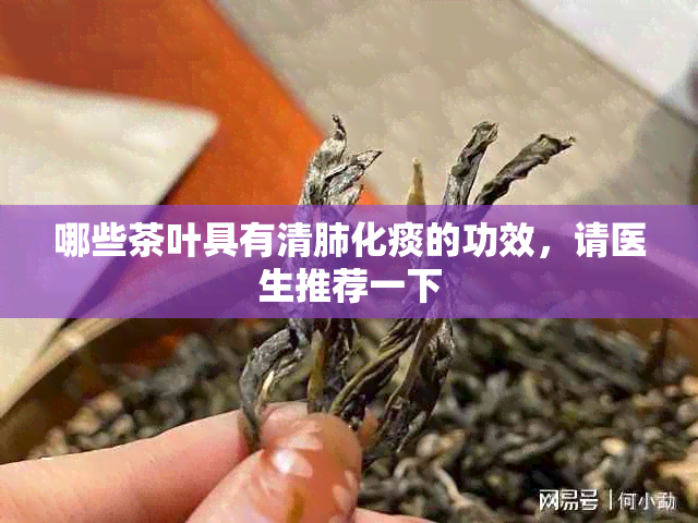 哪些茶叶具有清肺化痰的功效，请医生推荐一下