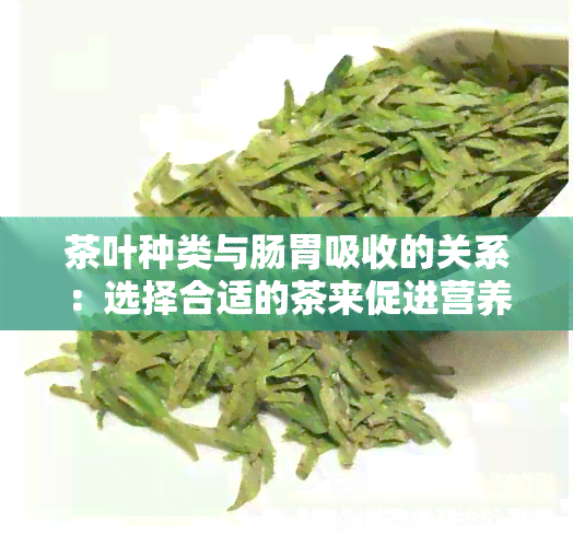 茶叶种类与肠胃吸收的关系：选择合适的茶来促进营养吸收