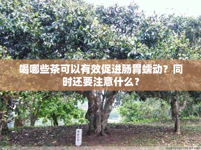 喝哪些茶可以有效促进肠胃蠕动？同时还要注意什么？