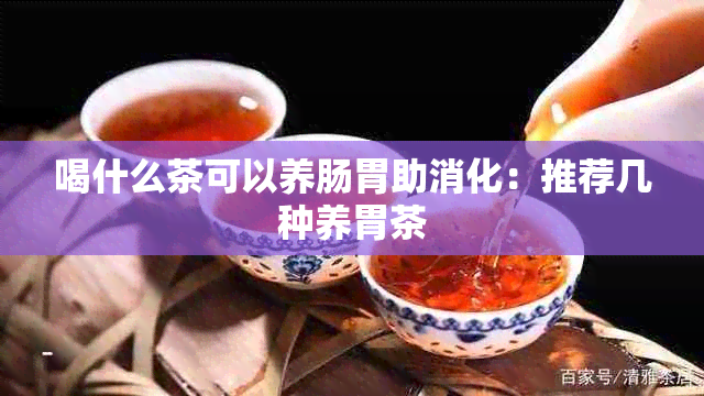 喝什么茶可以养肠胃助消化：推荐几种养胃茶