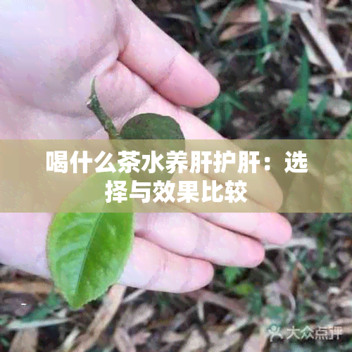 喝什么茶水养肝护肝：选择与效果比较