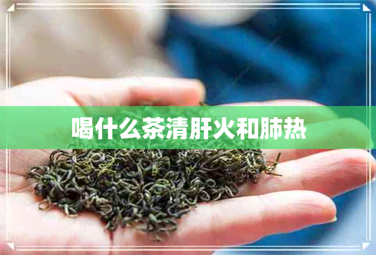 喝什么茶清肝火和肺热