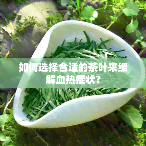 如何选择合适的茶叶来缓解血热症状？