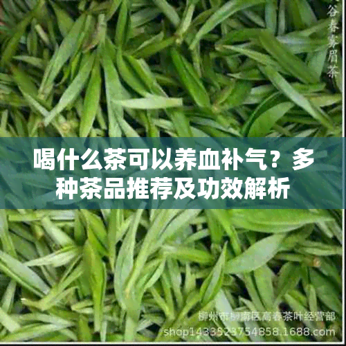 喝什么茶可以养血补气？多种茶品推荐及功效解析