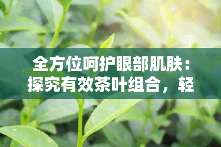 全方位呵护眼部肌肤：探究有效茶叶组合，轻松消除黑眼圈与眼袋