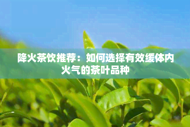 降火茶饮推荐：如何选择有效缓体内火气的茶叶品种