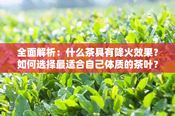 全面解析：什么茶具有降火效果？如何选择最适合自己体质的茶叶？