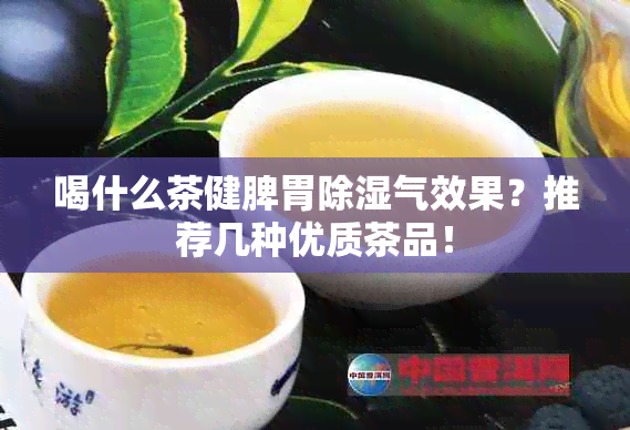 喝什么茶健脾胃除湿气效果？推荐几种优质茶品！