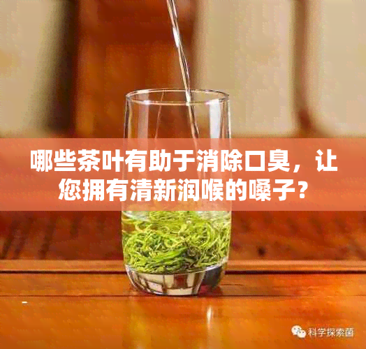 哪些茶叶有助于消除口臭，让您拥有清新润喉的嗓子？