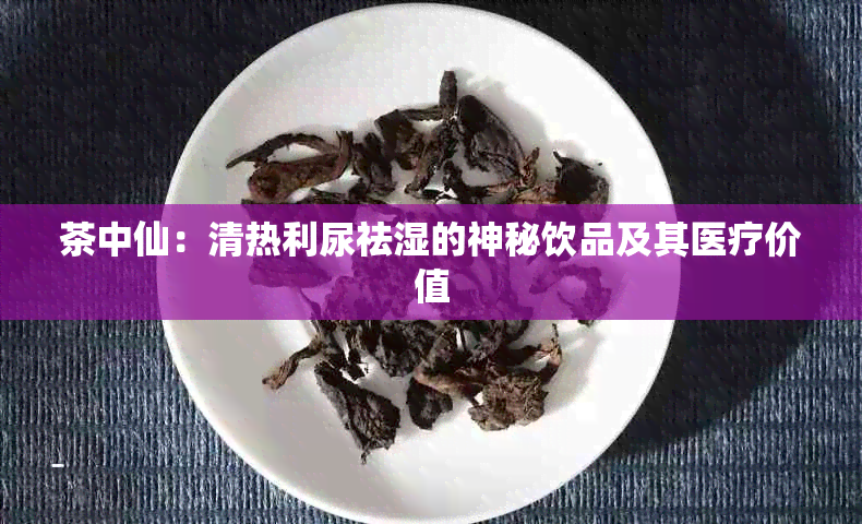 茶中仙：清热利尿祛湿的神秘饮品及其医疗价值