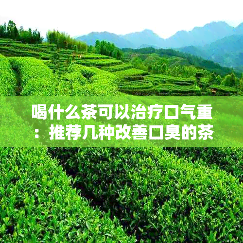 喝什么茶可以治疗口气重：推荐几种改善口臭的茶