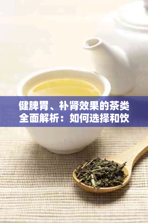 健脾胃、补肾效果的茶类全面解析：如何选择和饮用以达到效果