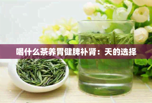 喝什么茶养胃健脾补肾：天的选择