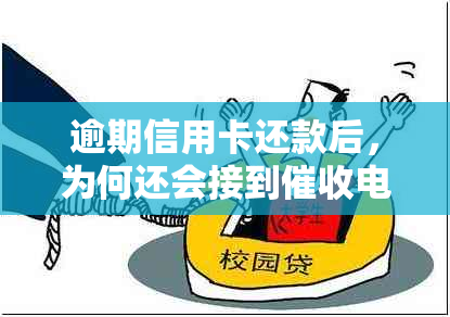 逾期信用卡还款后，为何还会接到电话？如何避免类似困扰？