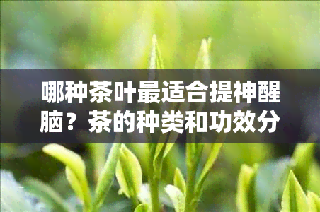 哪种茶叶最适合提神醒脑？茶的种类和功效分析