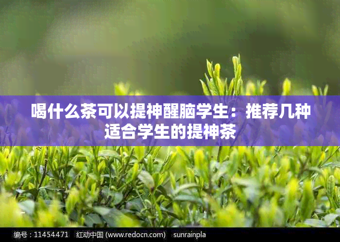 喝什么茶可以提神醒脑学生：推荐几种适合学生的提神茶