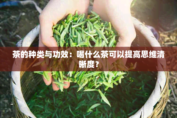 茶的种类与功效：喝什么茶可以提高思维清晰度？