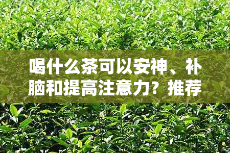 喝什么茶可以安神、补脑和提高注意力？推荐几种效果的茶