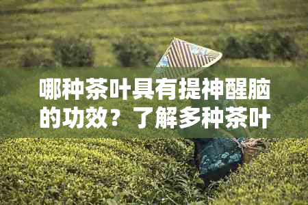 哪种茶叶具有提神醒脑的功效？了解多种茶叶及其益处