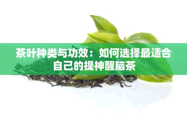 茶叶种类与功效：如何选择最适合自己的提神醒脑茶