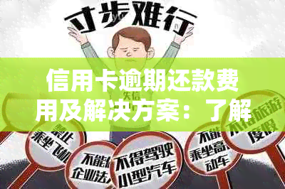 信用卡逾期还款费用及解决方案：了解这几块钱的重要性与如何避免