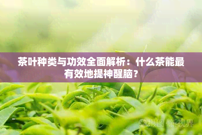 茶叶种类与功效全面解析：什么茶能最有效地提神醒脑？