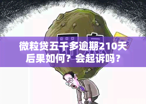 微粒贷五千多逾期210天后果如何？会起诉吗？