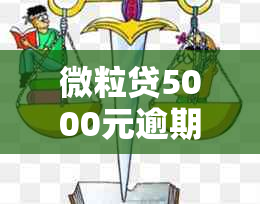 微粒贷5000元逾期20天：可能面临的后果及解决方案