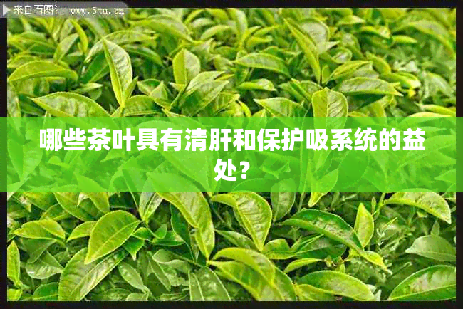 哪些茶叶具有清肝和保护吸系统的益处？