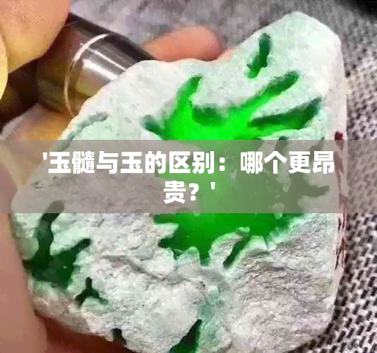 '玉髓与玉的区别：哪个更昂贵？'