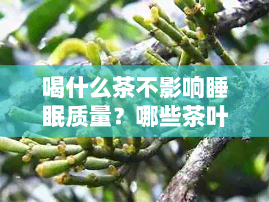 喝什么茶不影响睡眠质量？哪些茶叶有助于改善睡眠？