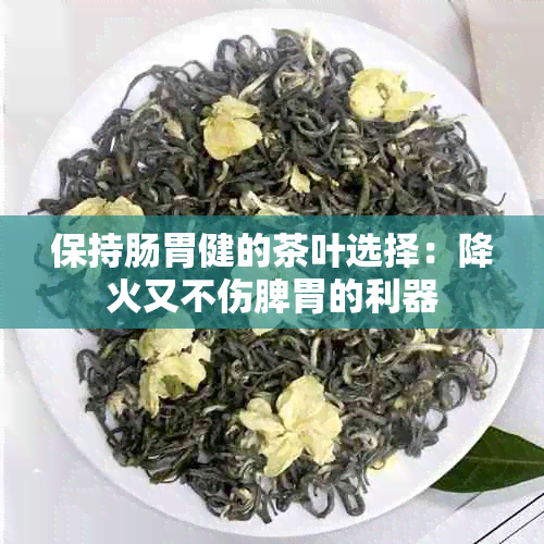 保持肠胃健的茶叶选择：降火又不伤脾胃的利器