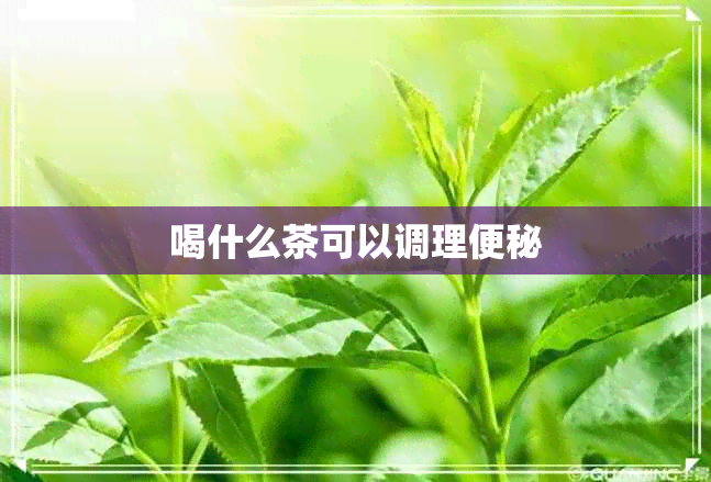 喝什么茶可以调理便秘