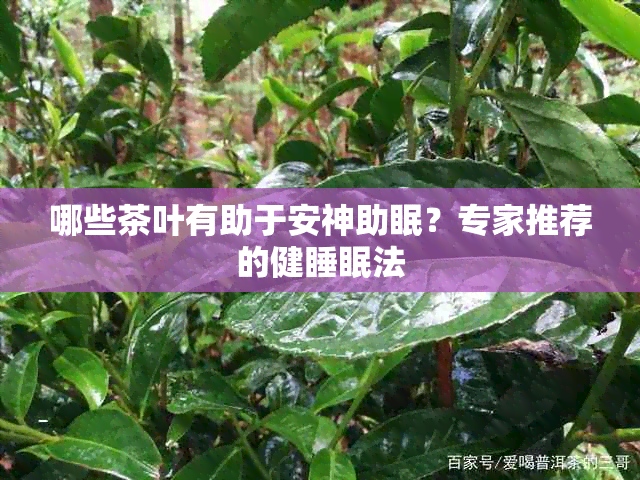 哪些茶叶有助于安神助眠？专家推荐的健睡眠法